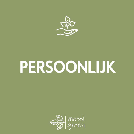 Persoonlijke aanpak