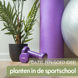 Planten in de sportschool