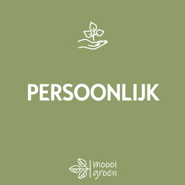 Persoonlijke aanpak