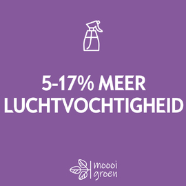 Luchtvochtigheid op kantoor verbeteren