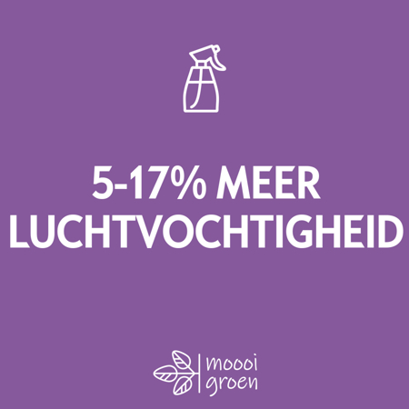 Luchtvochtigheid op kantoor verbeteren